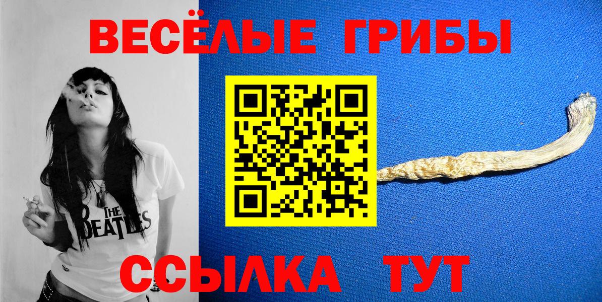 Галлюциногенные грибы Psilocybine cubensis Орёл